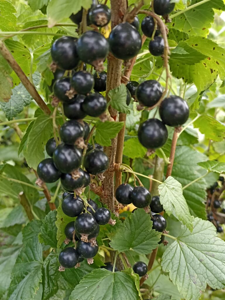 Zagadka 2