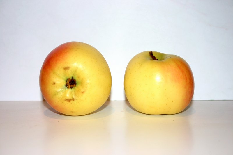 tellissaare