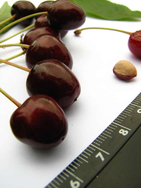Estonian_sweet_cherry_Taki
