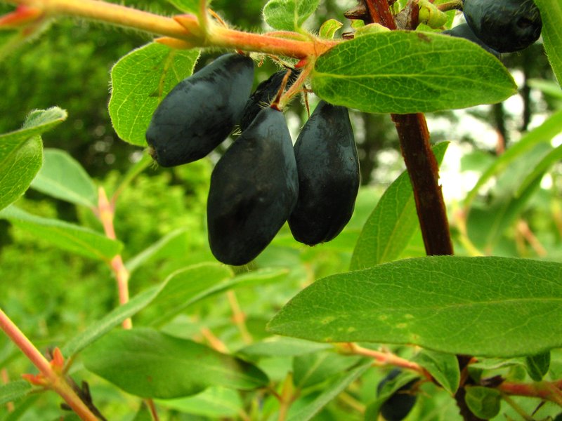 2-30-45